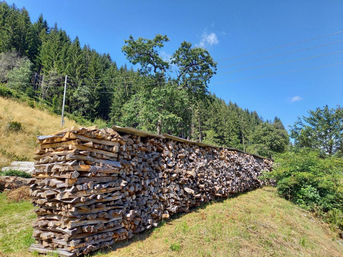 Landhaus Gruenjuwel Himmelberg Exterior photo